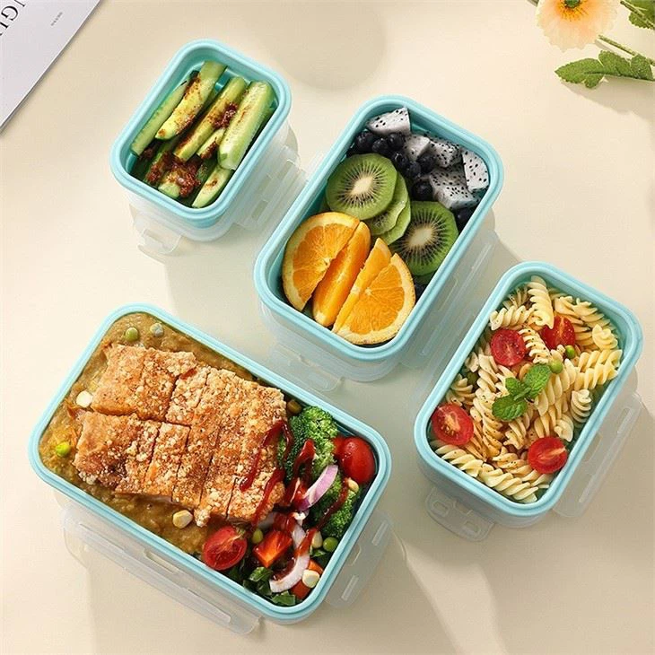Platinum Silicone Foldable Lunch Box Set